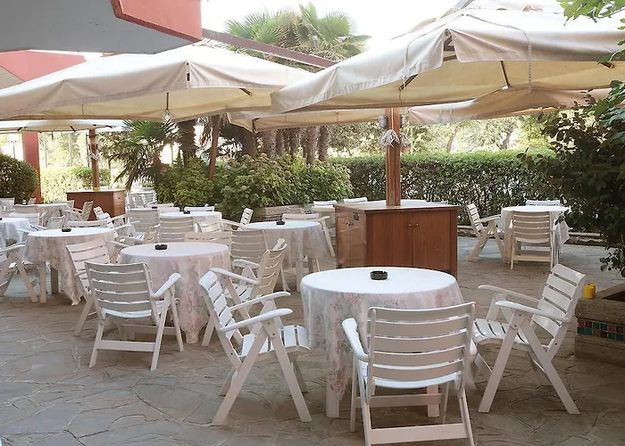 Gallia Club تْشيزيناتيكو