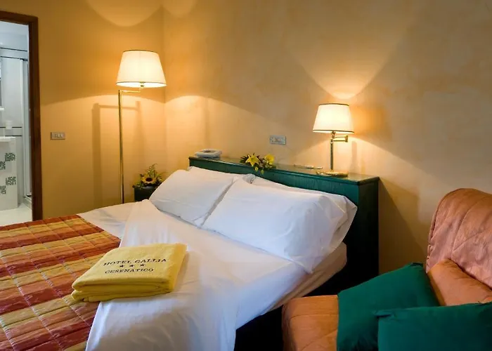 Gallia Club Hotel 3*